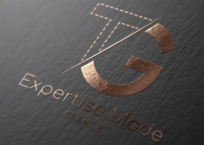 TG Expertise Mode